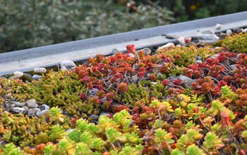 the cost of Hilldyke green roof installation