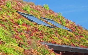 Hilldyke living roof systems